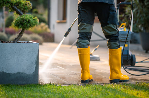 Best Roof Pressure Washing  in North Warren, PA